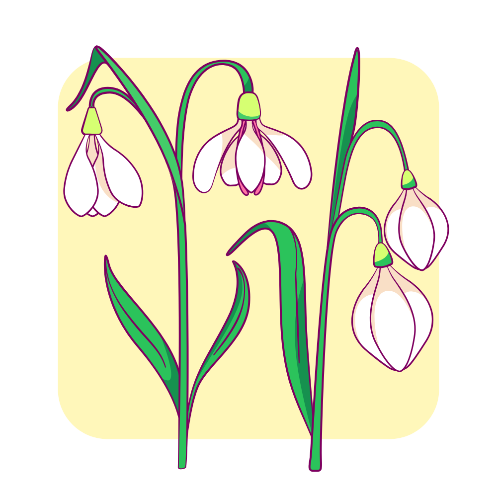 Hand getekende sneeuwklokjes illustratie