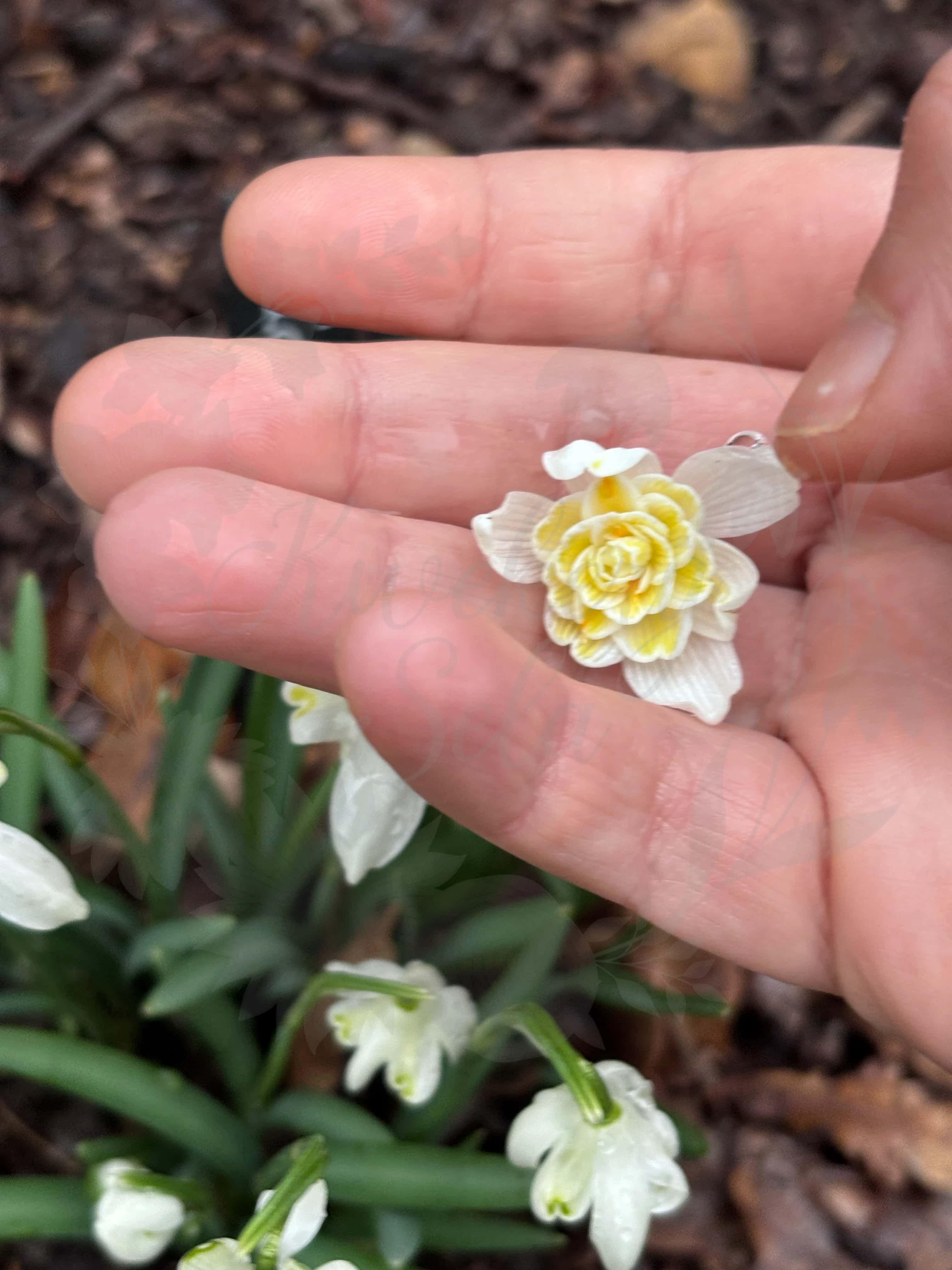 Galanthus "Lady Elphinstone" 5
