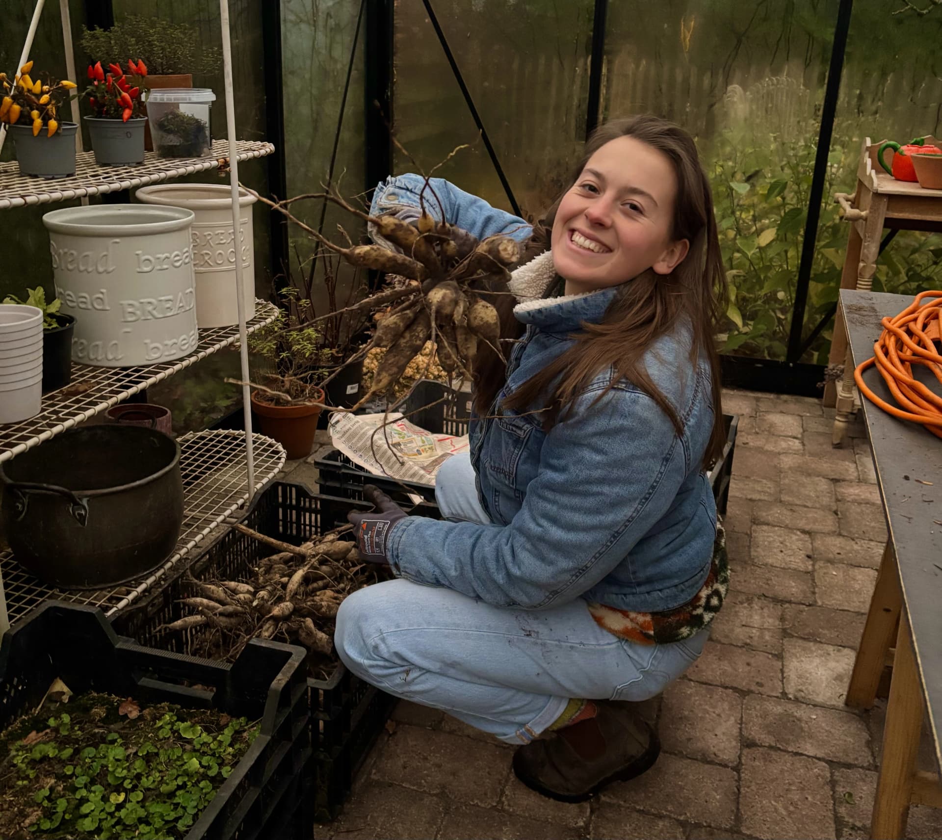 Rosalie, eigenaar van Kwekerij Sela, die dahlia knollen laat zien in een kas.
